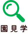 園見学