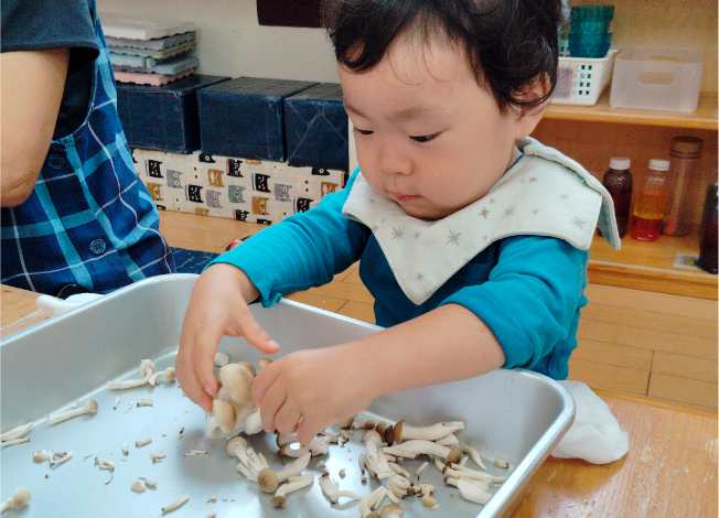食材に触れる